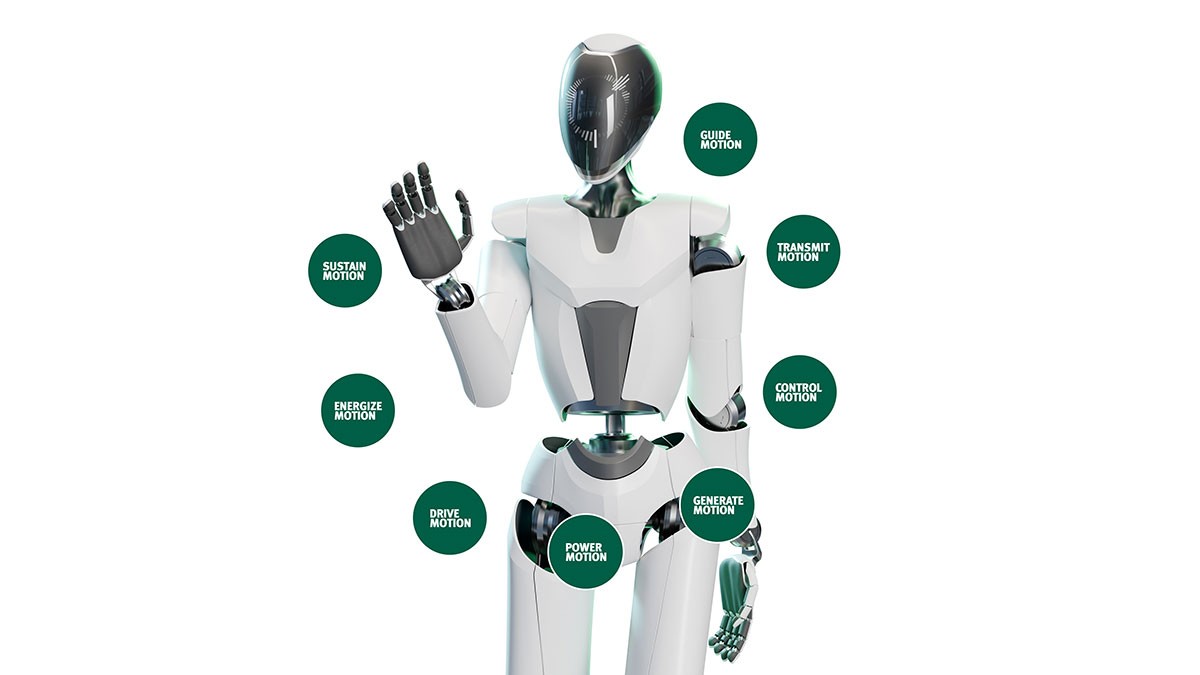 The Motion Technology Company