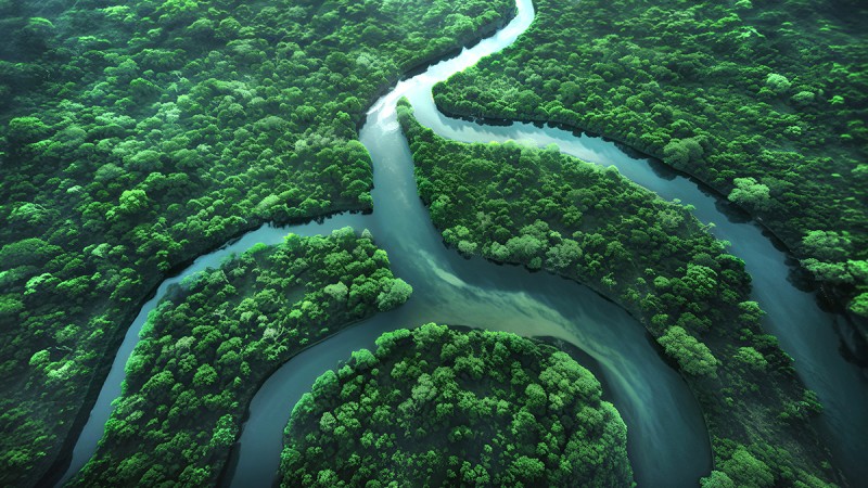 Sustainability
